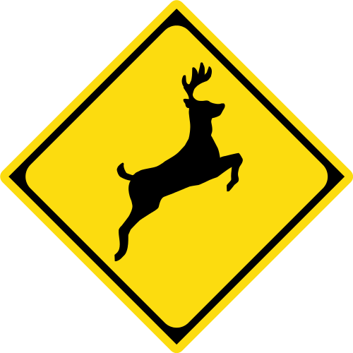 運転中に鹿が飛び出してきたらどっちが勝つ 山道運転の注意点も Spice Magazine