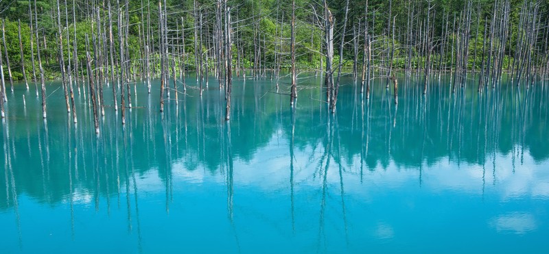 北海道の青い池はなぜ青いの 理由や青くない時の原因 Spice Magazine
